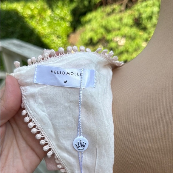 Hello Molly Keep Your Dreams Blush Jacobean Embellished Mini Dress US Size 6 NWT - Picture 12 of 15